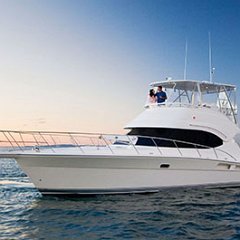 Cabo Yacht Charters, Boat Rentals Cabo San Lucas, Los Cabos, Baja Charters